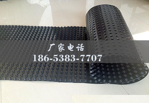 排水板廠(chǎng)家http://www.wxrjzc.com/