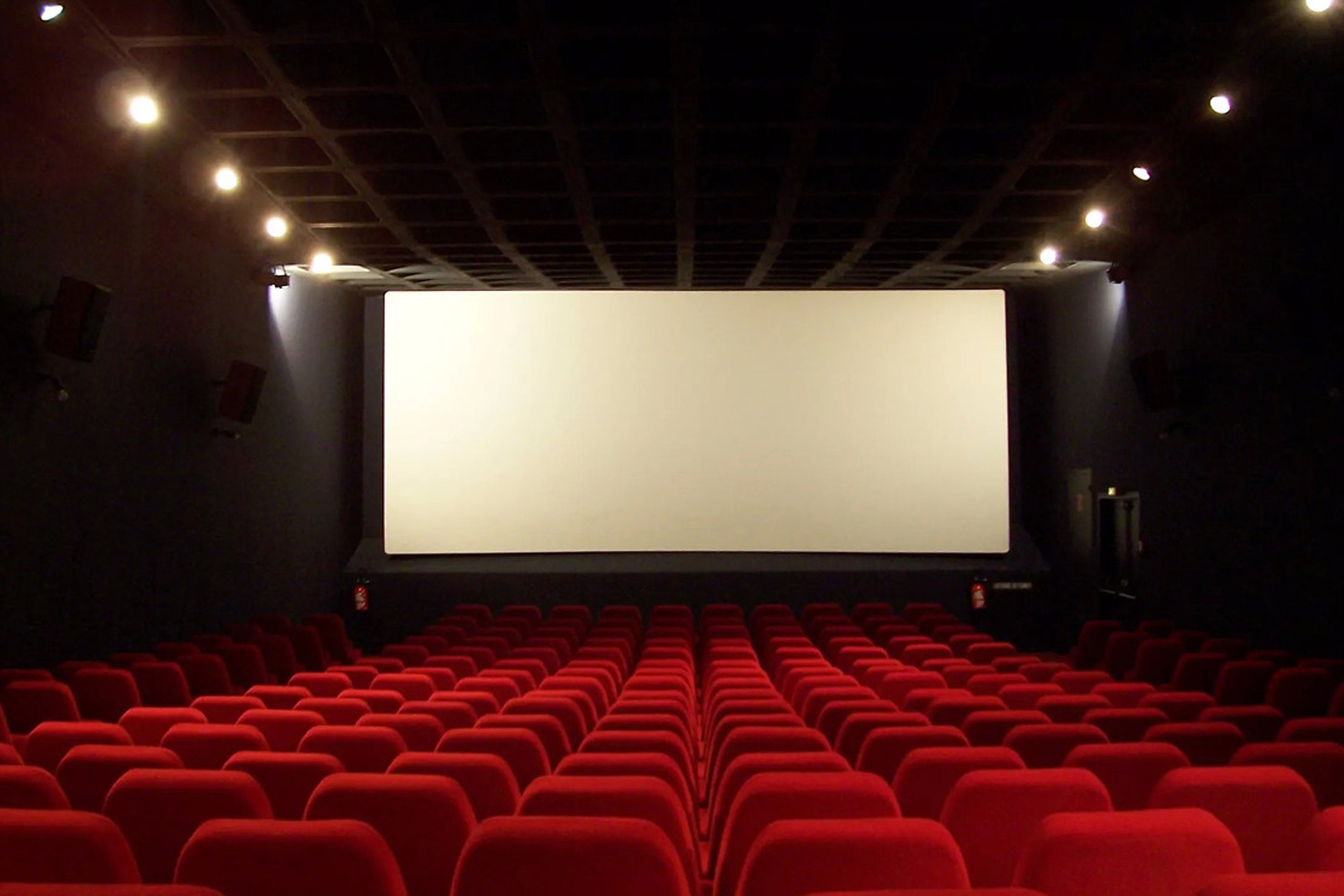 毒舌影视app下载安装